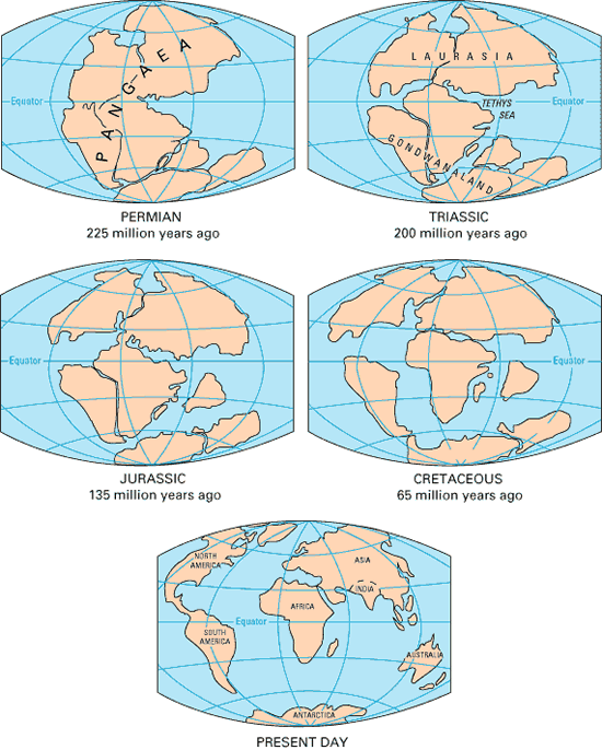 pangea-continental-drift.gif
